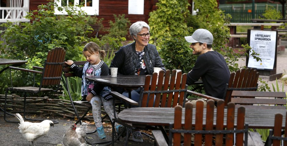 Farmor, son och barnbarn fikar utomhus. Lilla flickan matar en höna. I bakgrunden syns den röda timrade stugan, Spikgården.