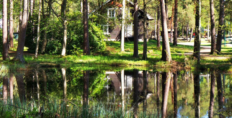 En av dammarna i skogen. Skogen spelgas i vattenytan och i bakgrunden syns den stugliknande Acksjöns kapell.