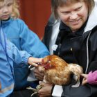 Förskolebarn tittar närmare på en höna, tillsammans med djurvårdare. 