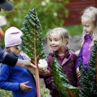 Barn skördar stora mangold i Barnens köksträdgård. 