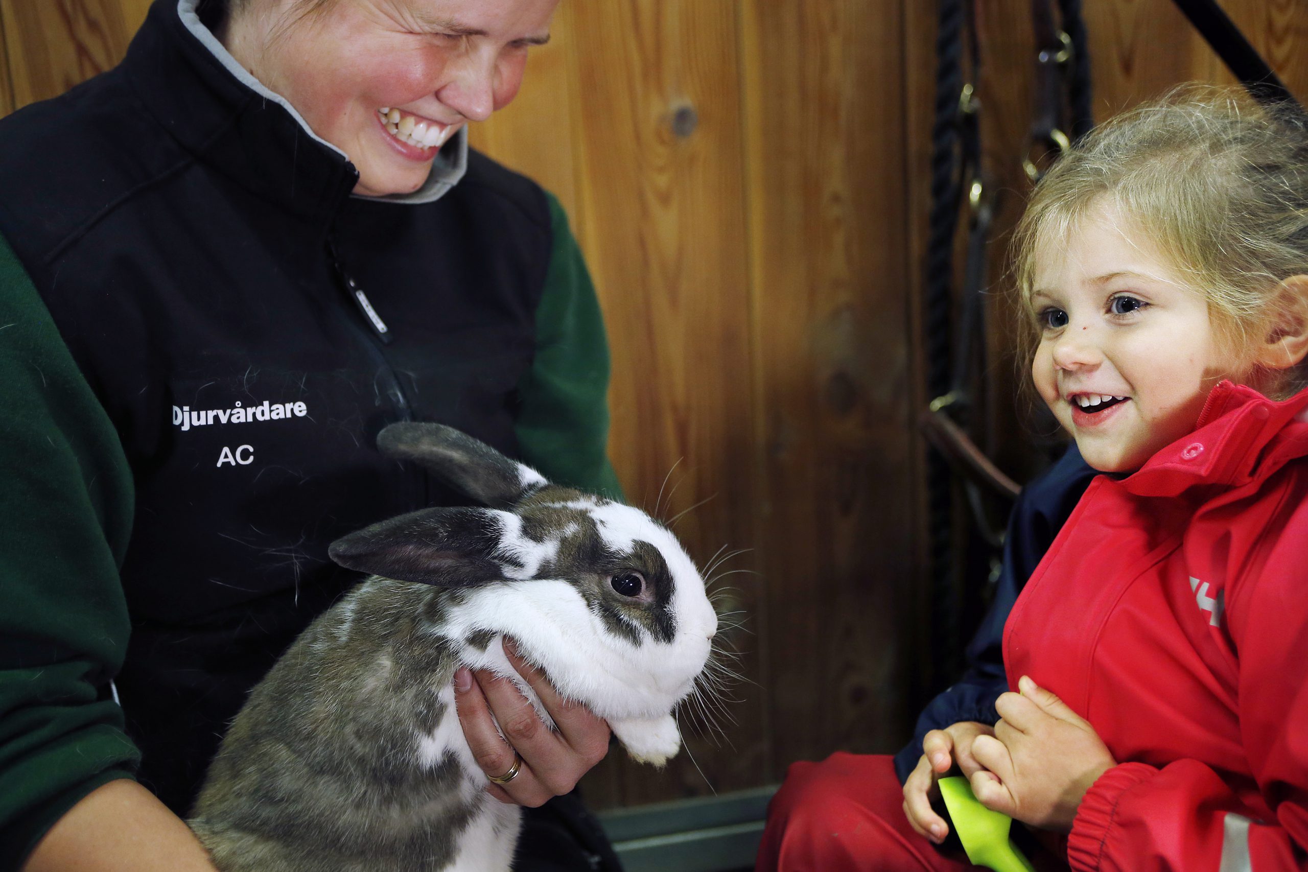 Djurvårdare visar upp en kanin för ett barn.