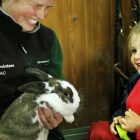 Djurvårdare visar upp en kanin för ett barn. 
