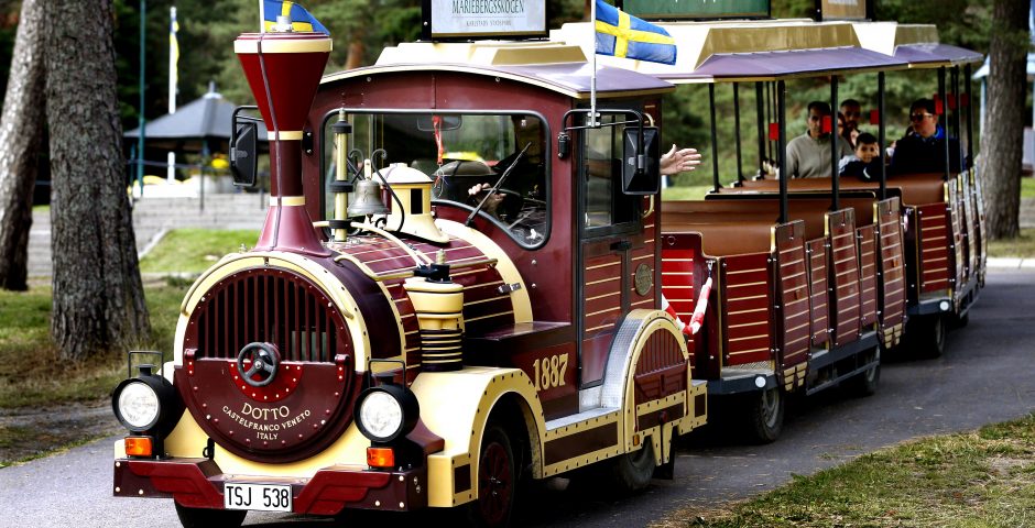 Rundturståget Conrad Höök. Loket med sina vagnar.