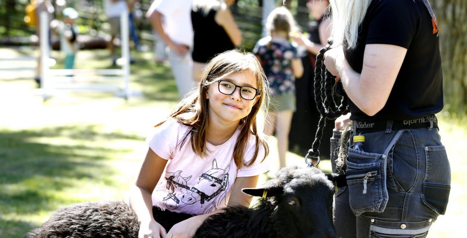 Flicka gosar med ett får.