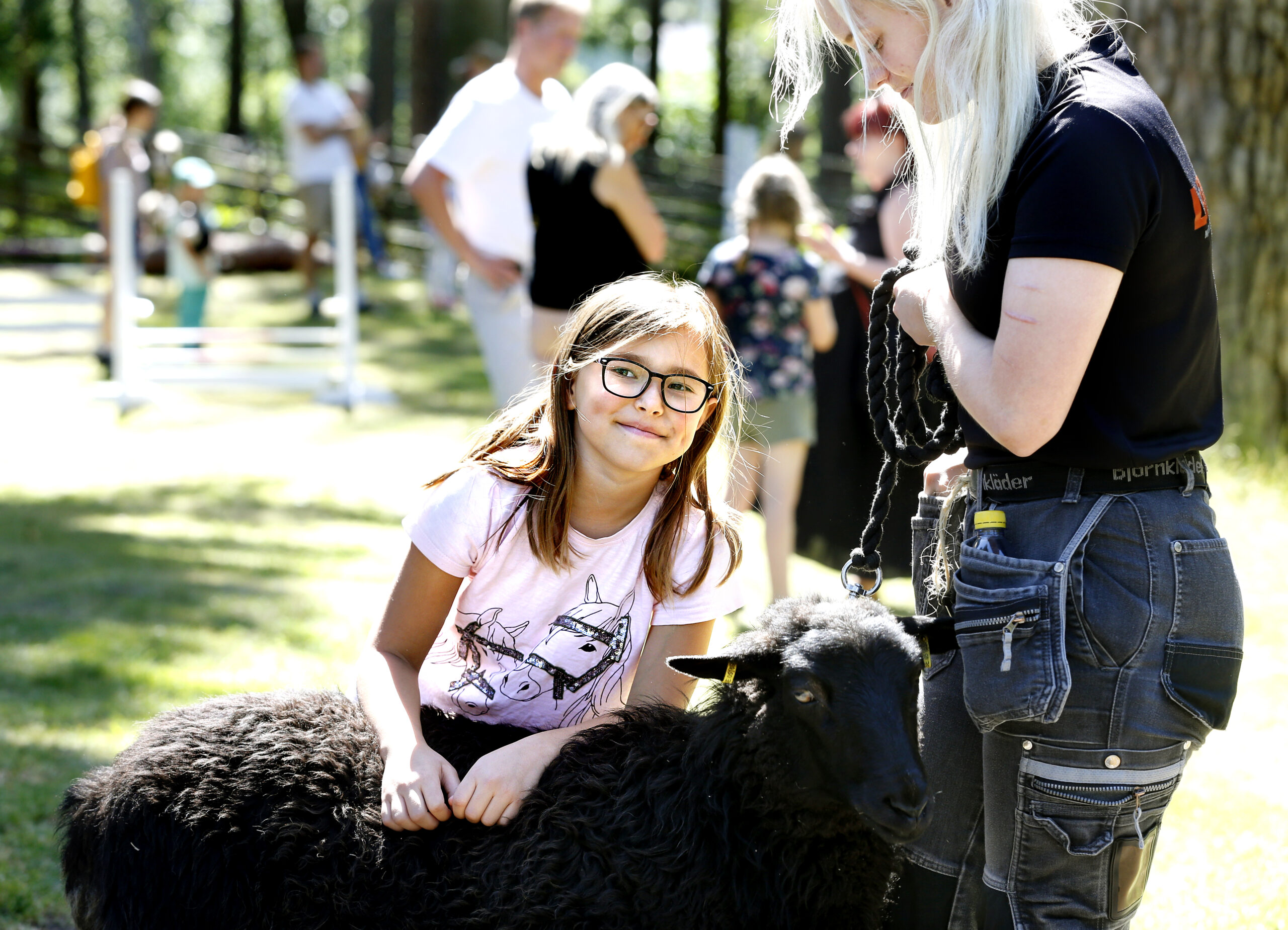 Flicka gosar med ett får.