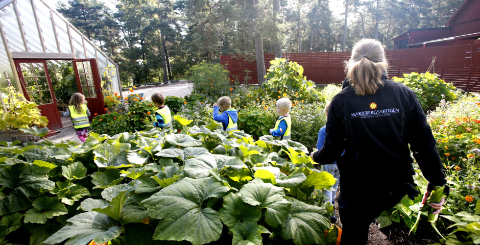 Trädgårdsmästare går tillsammans med några barn i Barnens Köksträdgård.