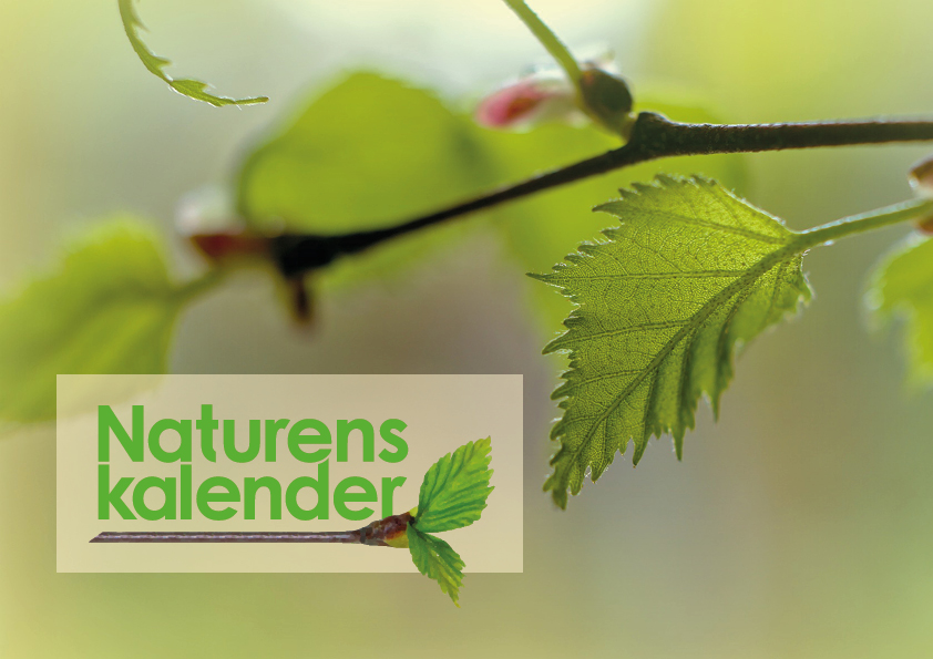 Naturens kalender.
