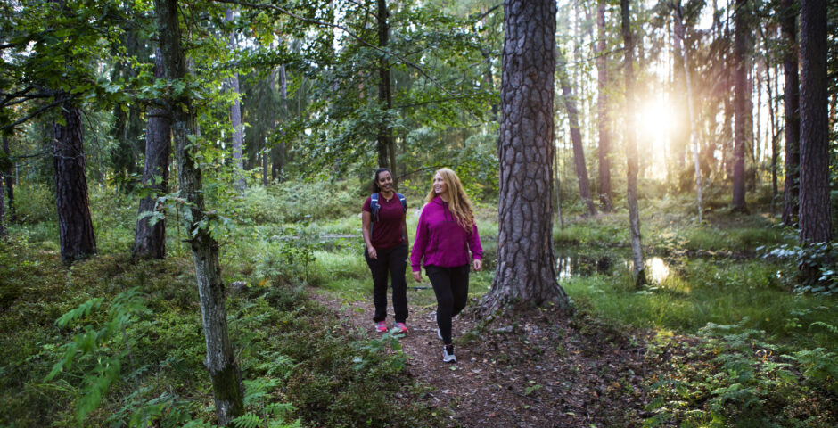 Två kvinnor vandrar i skogen.