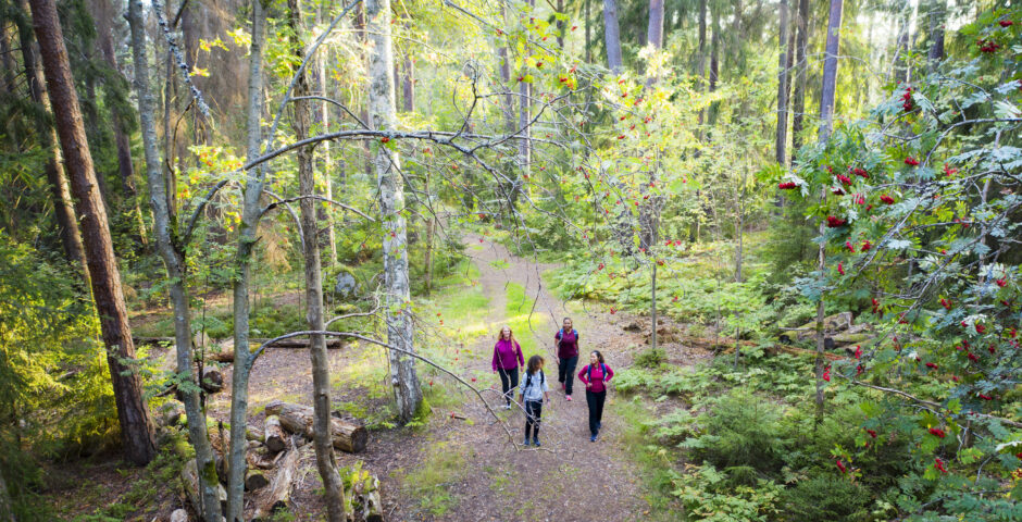 Vandring i Mariebergsskogen.